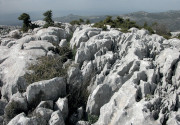 Formación en lapiaz de rocas calizas (José B. López Quintanilla)