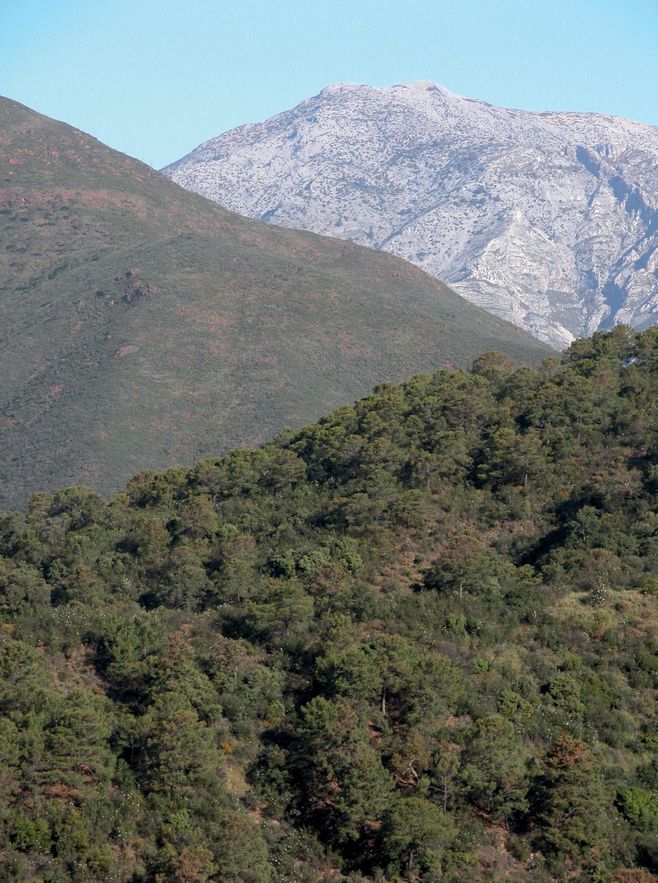 Las tres litologías dominantes en la Sierra de las Nieves - Autor: José B. López Quintanilla