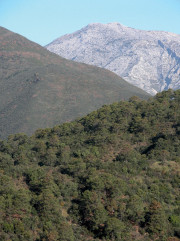 Las tres litologías dominantes en la Sierra de las Nieves (José B. López Quintanilla)