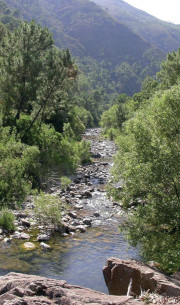 Río Verde (Juan José Jiménez)